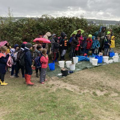 Coastal Cleanup, 16.09.2022