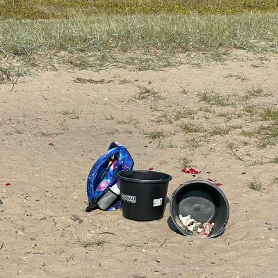 Coastal Cleanup, 20.09.2024