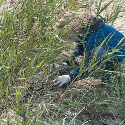 Coastal Cleanup, 20.09.2024
