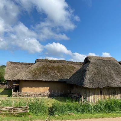 Klasse 4d in Haithabu, 30.08.2021