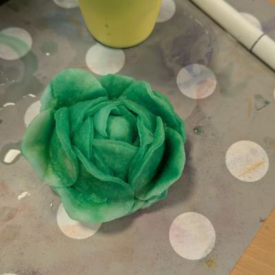 Watteblumen in der 3d, 20.03.2025