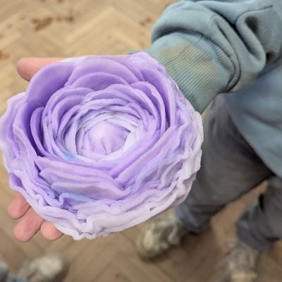Watteblumen in der 3d, 20.03.2025