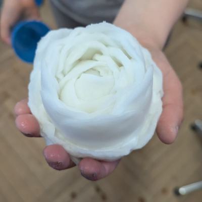 Watteblumen in der 3d, 20.03.2025