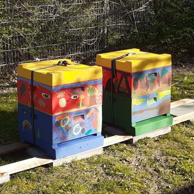 Die aufgestellten Beuten, 21.04.2019
