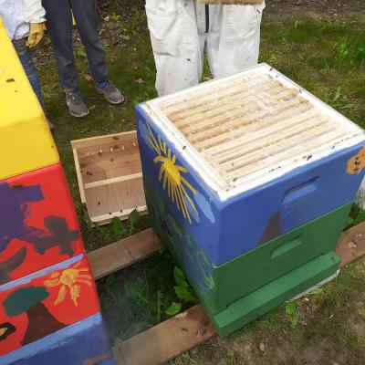 Kontrolle des grünen Volkes, 16.05.2019