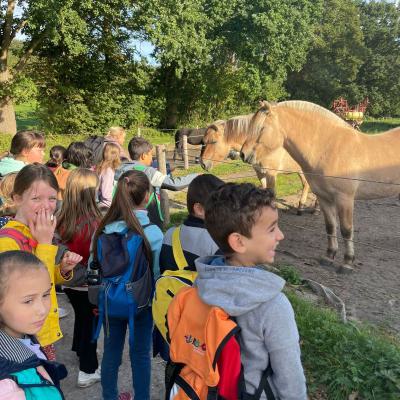 Klasse 2d auf dem Bauernhof, 14.09.2023