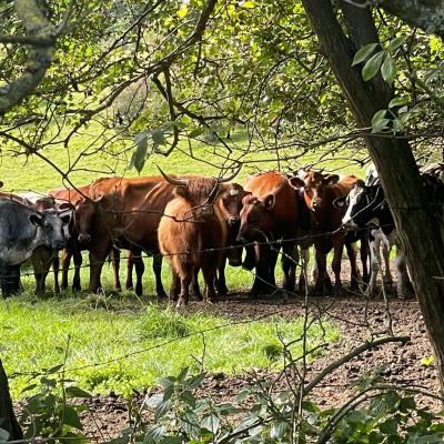 Klasse 2d auf dem Bauernhof, 14.09.2023
