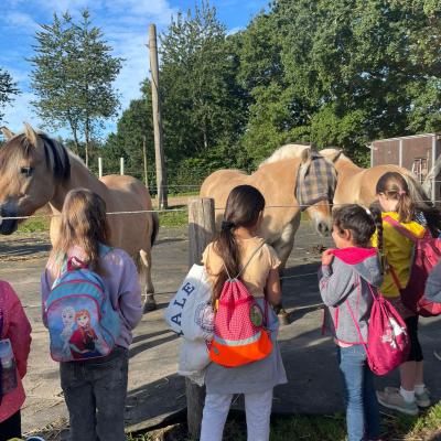 Klasse 2d auf dem Bauernhof, 14.09.2023