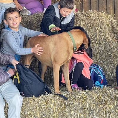 Klasse 2d auf dem Bauernhof, 14.09.2023
