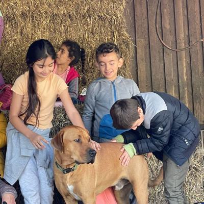 Klasse 2d auf dem Bauernhof, 14.09.2023
