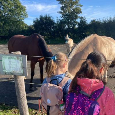 Klasse 2d auf dem Bauernhof, 14.09.2023