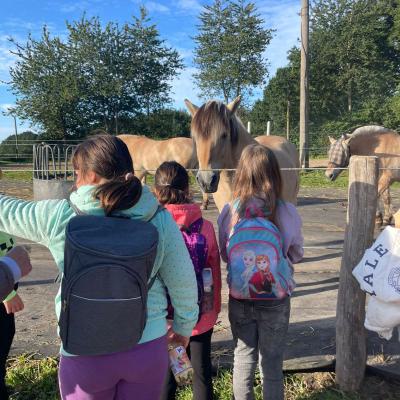 Klasse 2d auf dem Bauernhof, 14.09.2023