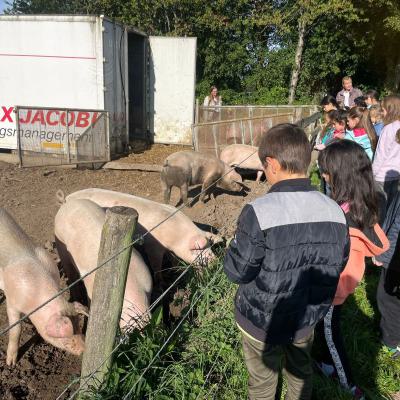 Klasse 2d auf dem Bauernhof, 14.09.2023