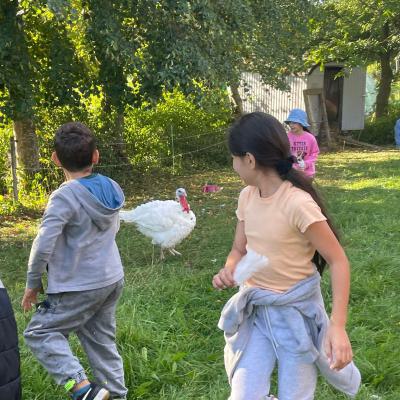 Klasse 2d auf dem Bauernhof, 14.09.2023