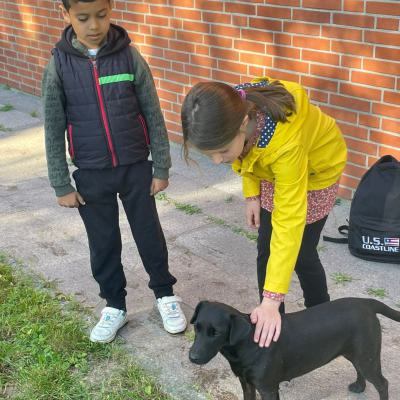 Klasse 2d auf dem Bauernhof, 14.09.2023