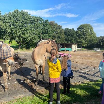 Klasse 2d auf dem Bauernhof, 14.09.2023