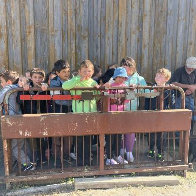 Klasse 2d auf dem Bauernhof, 14.09.2023