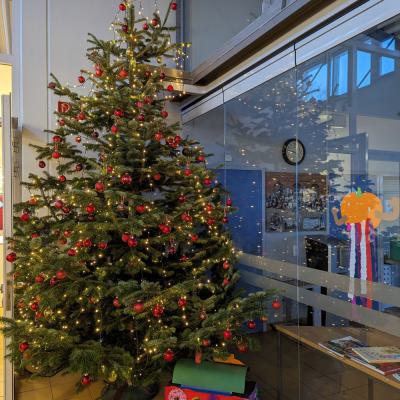 Der diesjährige große Weihnachtsbaum