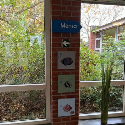 Verschönerung des Eingangsbereichs, Nov - Dez 2023
